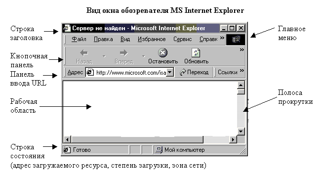 Окно обозревателя MS Internet Explorer